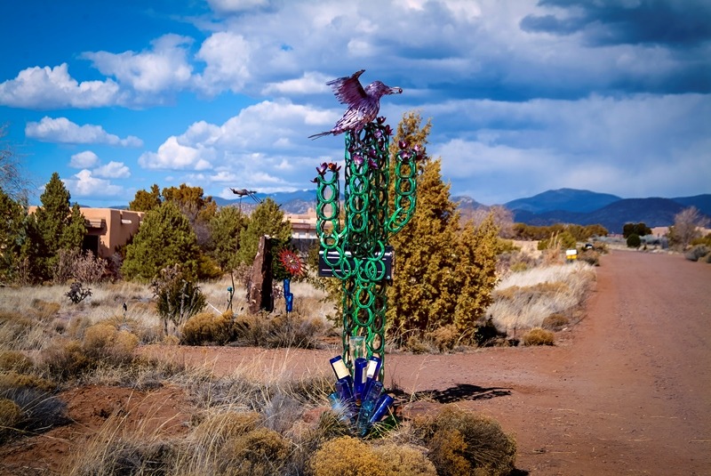 Saguaro 2017