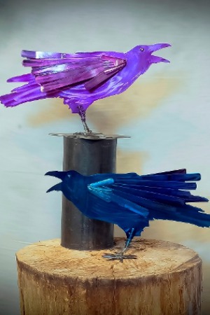 CrwRv Birds 2017