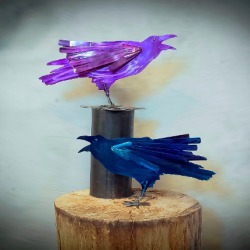 CrwRv Birds 2017